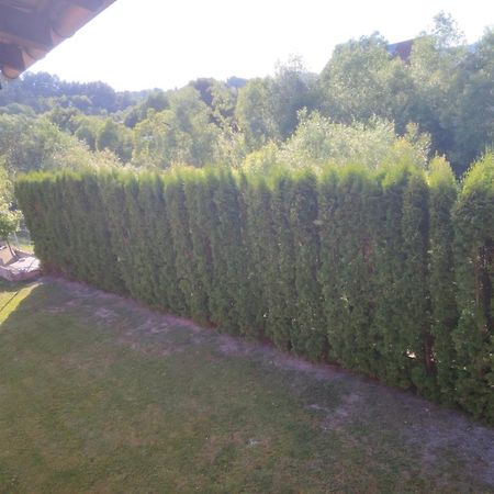 Pensiunea Floro Întorsura Buzăului Exterior foto