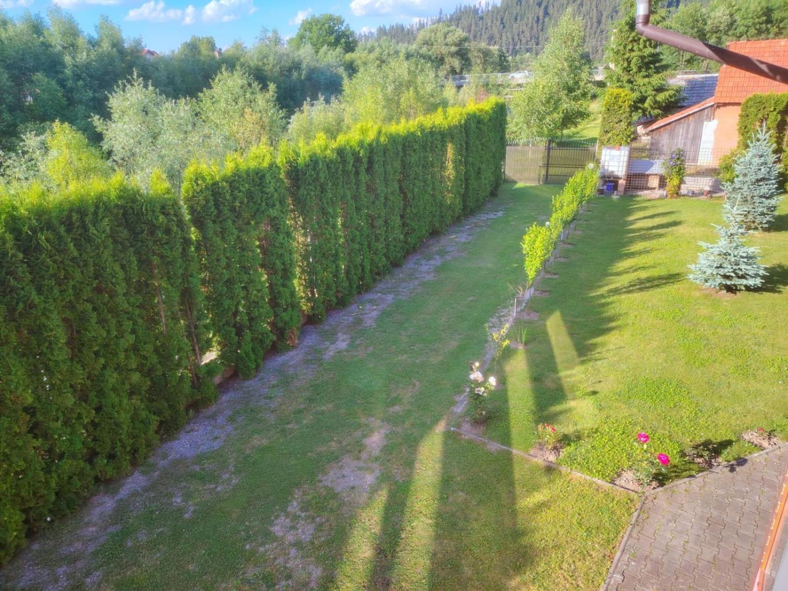 Pensiunea Floro Întorsura Buzăului Exterior foto